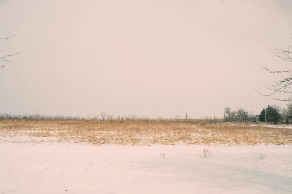 Desolate grassland by Serhii Volyk: https://www.pexels.com/photo/brown-grass-on-field-11416599/